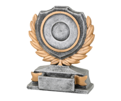 Trofee resin met afbeelding naar keuze