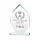 Glazen Award Facet op Voet