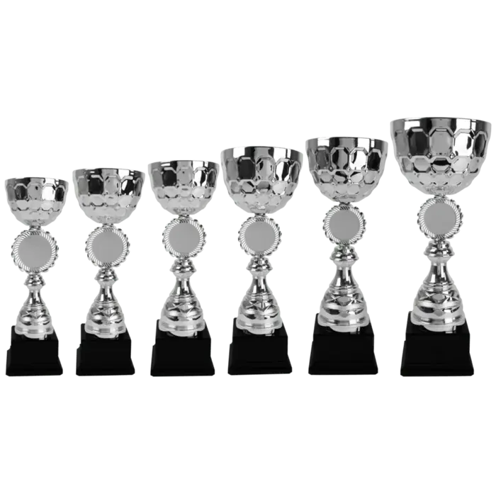 Zilveren Trofee Beker