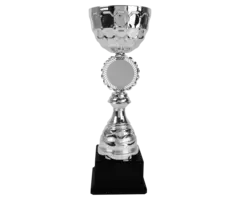 Zilveren Trofee Beker