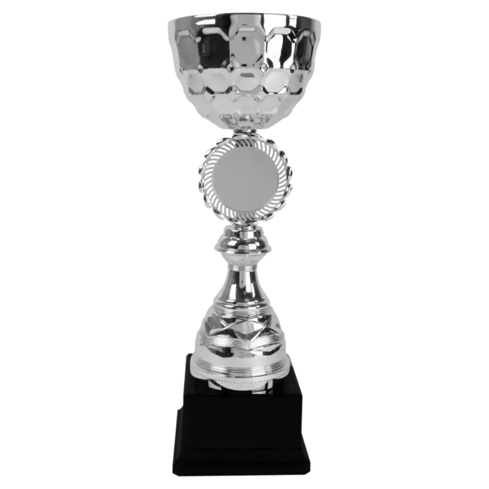 Zilveren Trofee Beker