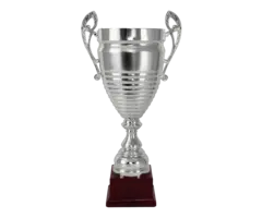 Grote Zilveren Beker Trofee – Metalen Cup op Voet