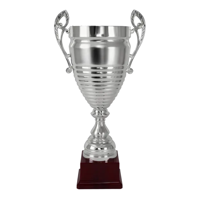 Grote Zilveren Kampioensbeker – Metalen Trofee met Handgrepen op Kunststof Voet, Ideaal als Wisselbeker