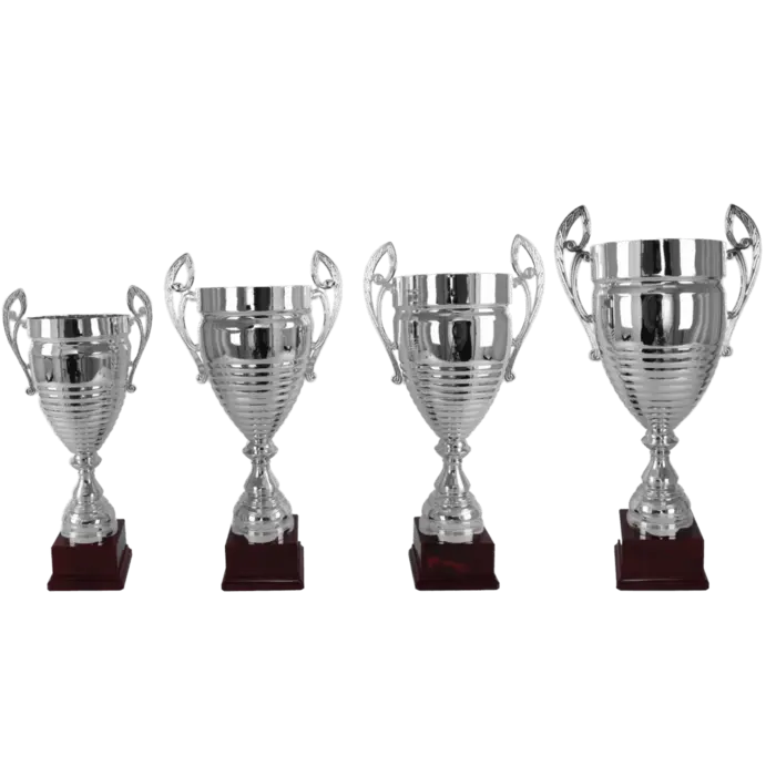 Grote Zilveren Kampioensbeker – Metalen Trofee met Handgrepen op Kunststof Voet, Ideaal als Wisselbeker