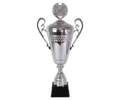 Grote Zilveren Trofee 80 cm – Metalen Beker met Deksel
