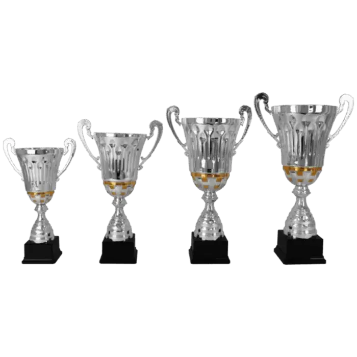 Zilveren Trofee met Gouden Details en Oren – Metalen Beker in 4 Formaten op Zwarte Voet