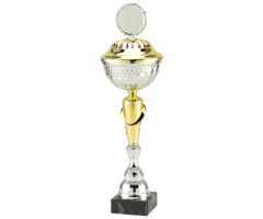 trofee zilver/goud