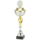 trofee zilver/goud