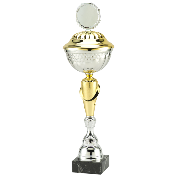 trofee zilver/goud