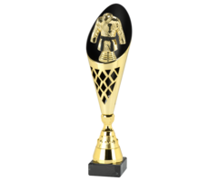 Vechtsport trofee