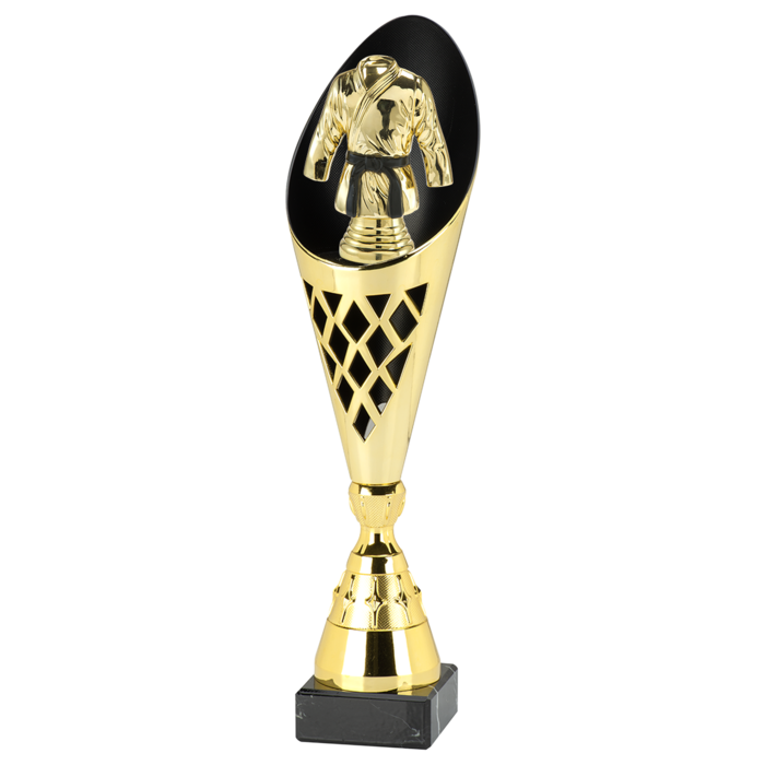 Vechtsport trofee