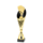 Kaart  trofee