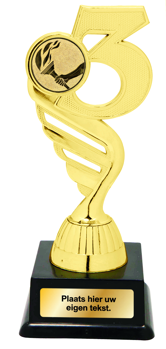 Gouden Nummer 3 Trofee met Graveerplaatje en Sportafbeelding