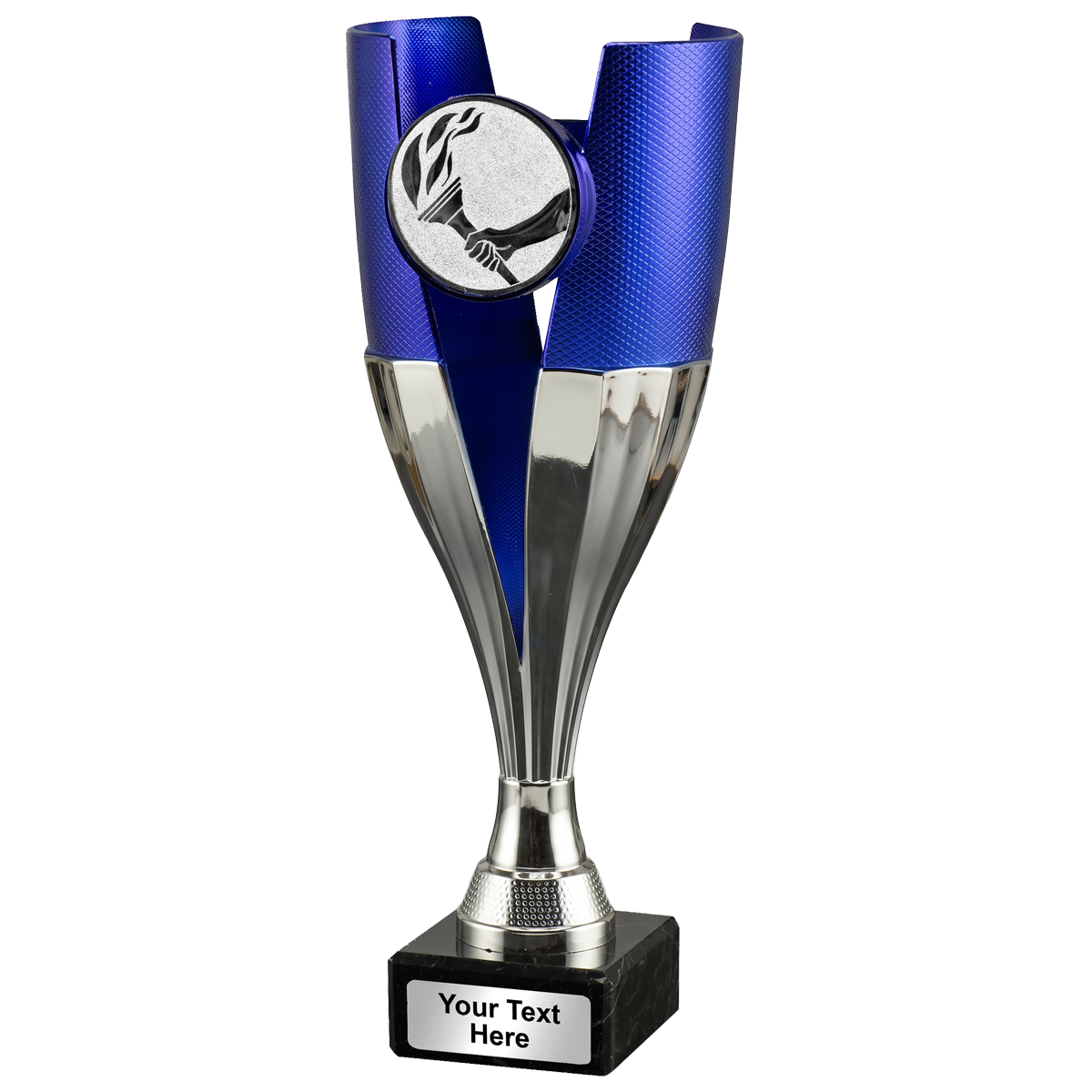 Trofee zilver-blauw