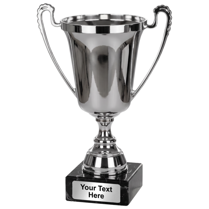 Beker zilver (Kunststof cup)