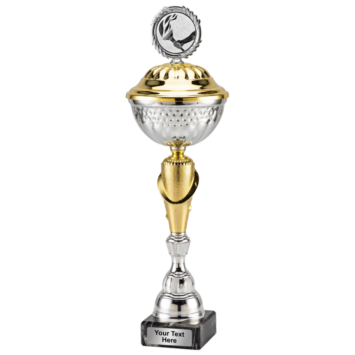 trofee zilver/goud