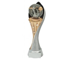 Darts trofee Flexx 25 t/m 30cm