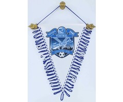 Puntvaan full-colour 20x14cm