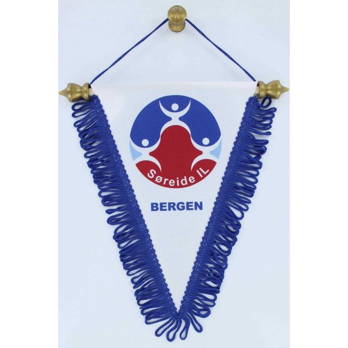 Puntvaan 20x14 Min. afname 10 stuks