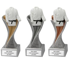 Judo / karate beeld goud/zilver/brons