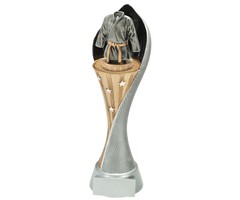 Judo / Karate trofee Flexx
