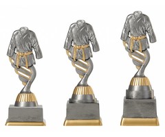 Judo/karate trofee
