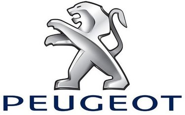 Peugeot dashcams