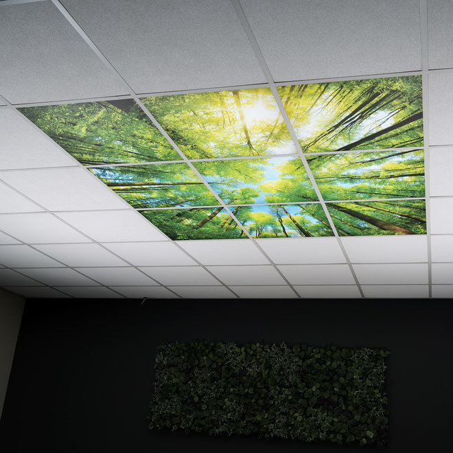 LED Wolkenplafond Acrylplaat 2mm - Set 4 Fotopanelen 2 x 2 Fotoplafond