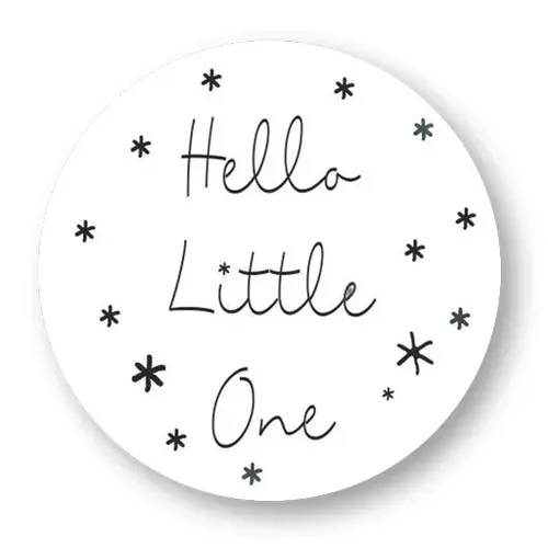 Cupcakedozen.nl Label - Hello little one (500 piece sticker roll)