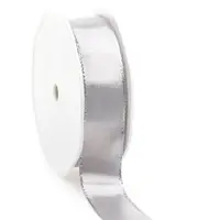 Metallic ribbon - Silver