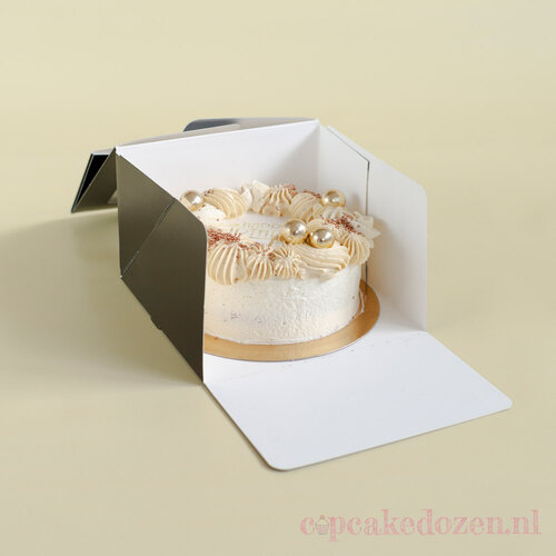 Cupcakedozen.nl Zwarte bento doos - 16 x 16 x 10 cm + winkelluifel venster (25 stuks)