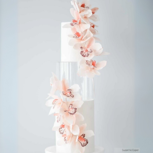 Prop Options Round Acrylic Fillable Clear Tiers Prop Options Round Acrylic Fillable Clear Tiers