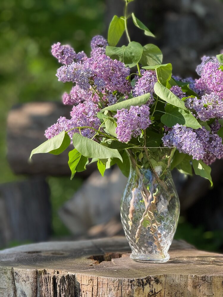 Skloglass Handgemaakt kristallen Zinnia vaas 250mm - Kristal