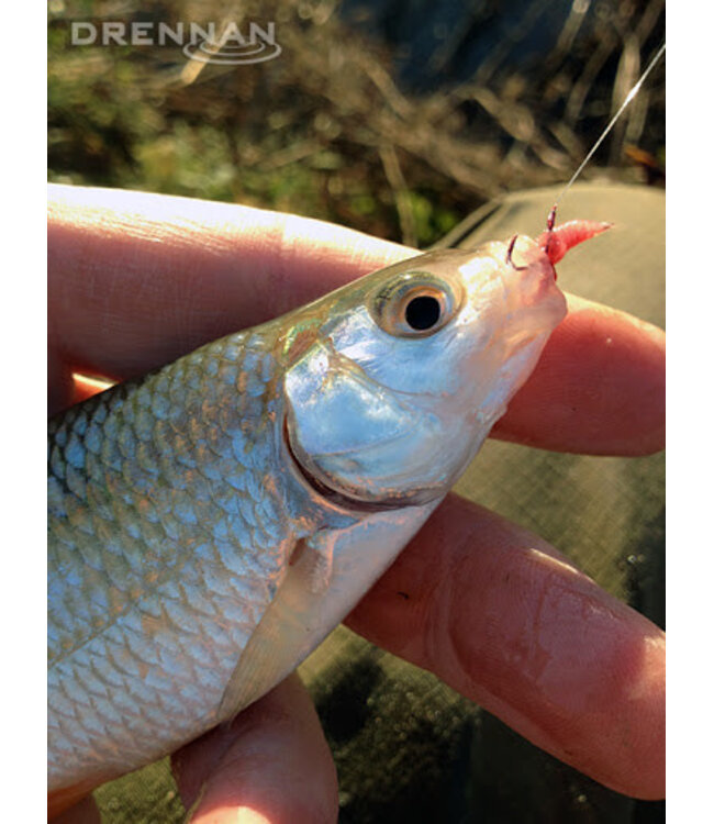 Drennan Rouge Asticots Micro Ardillon (25 pcs)