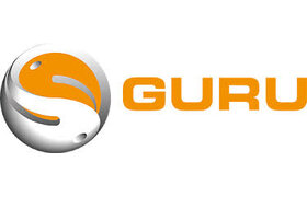 Guru