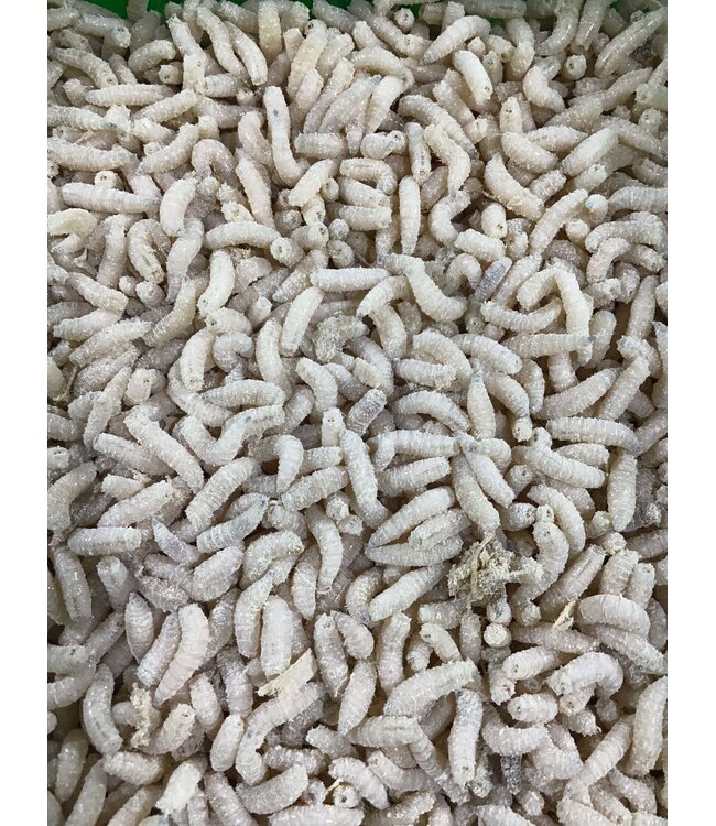 Reniers Fishing Additiv Bream Explosion 150gr