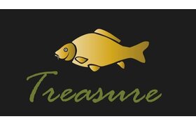 Treasure