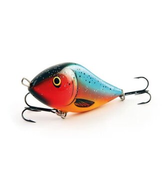 Salmo Floating Slider (10cm - 36g)