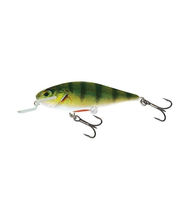 Salmo Floating Executor SR 5cm - 5g (Tiefe 0.6-1.2m)
