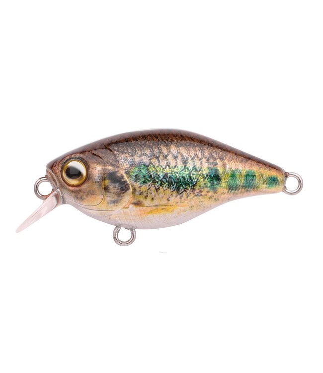 Spro Ikuru Cranck Short Lip (Tiefe 0.5m) 3.8cm - 4gr