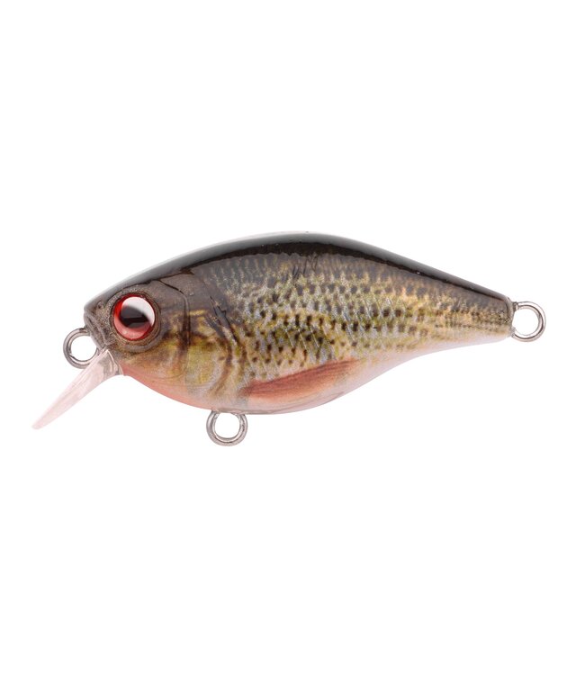Spro Ikuru Cranck Short Lip (diepte 0.5m) 3.8cm - 4gr