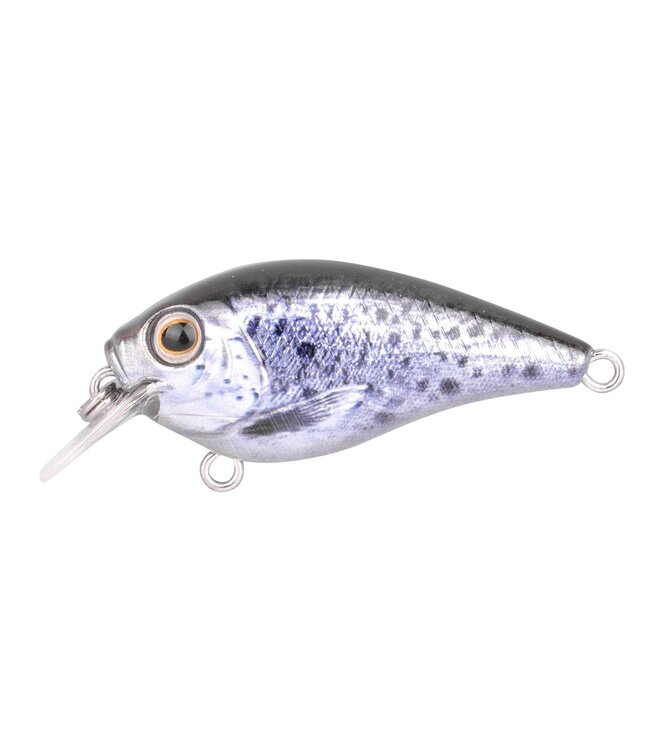 Spro Ikuru Cranck Short Lip (Tiefe 1.2m) 4.5cm - 6gr
