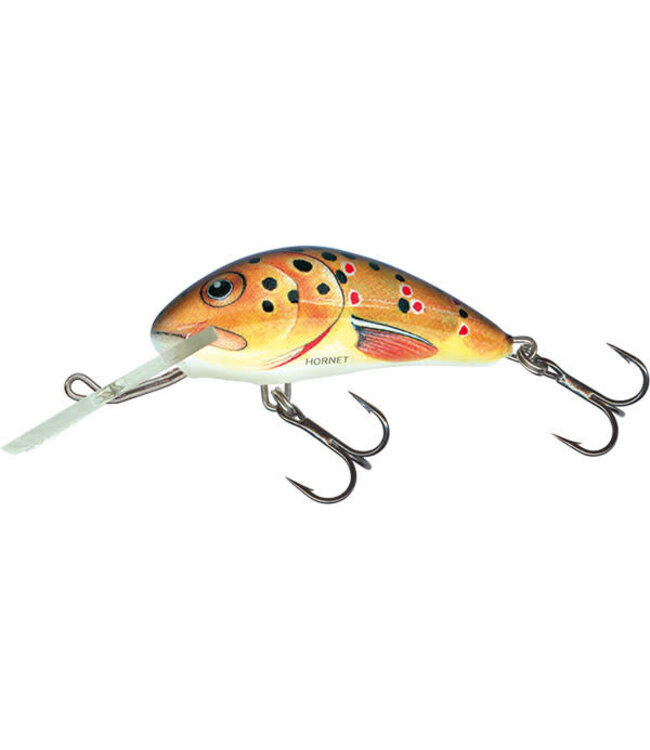 Salmo Hornet Flottant (profondeur 2-4.6m) 5cm - 7gr