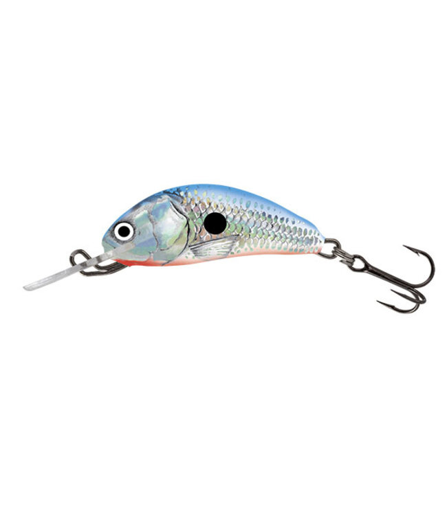 Salmo Hornet Floating (Tiefe 0.5-1m) 3.5cm - 2.2gr