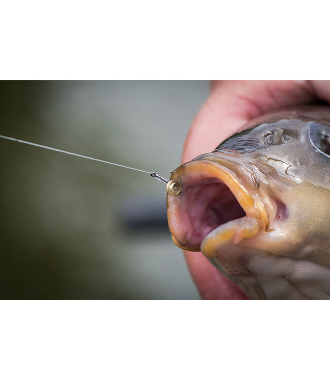 Matrix MXC-6 Barbless - Eyed (10 pcs)