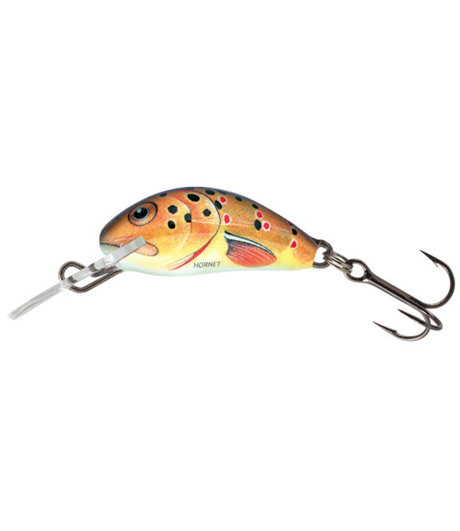 Salmo Hornet Floating (Tiefe 0.5-1m) 3.5cm - 2.2gr