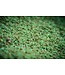 Mainline Green Supreme Fishmeal Groundbait 1 kilo