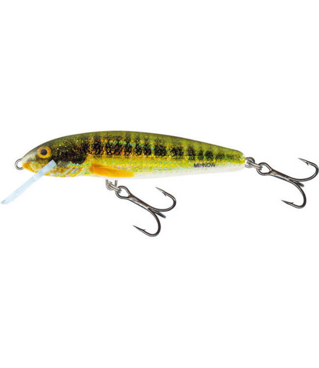 Salmo Sinking Minnow 7cm - 8gr (diepte 1.5-2m)