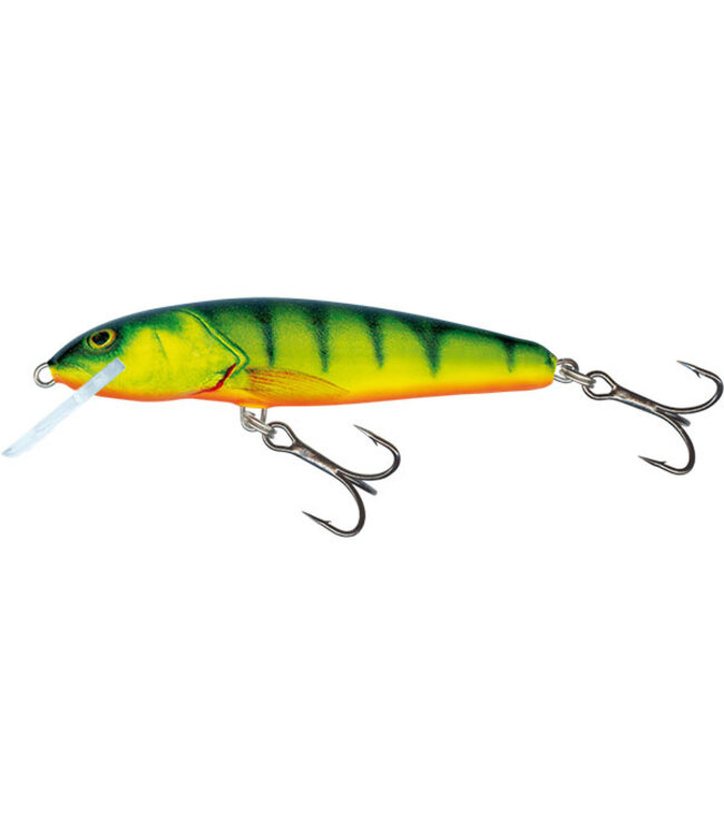 Salmo Sinking Minnow 7cm - 8gr (Tiefe 1.5-2m)