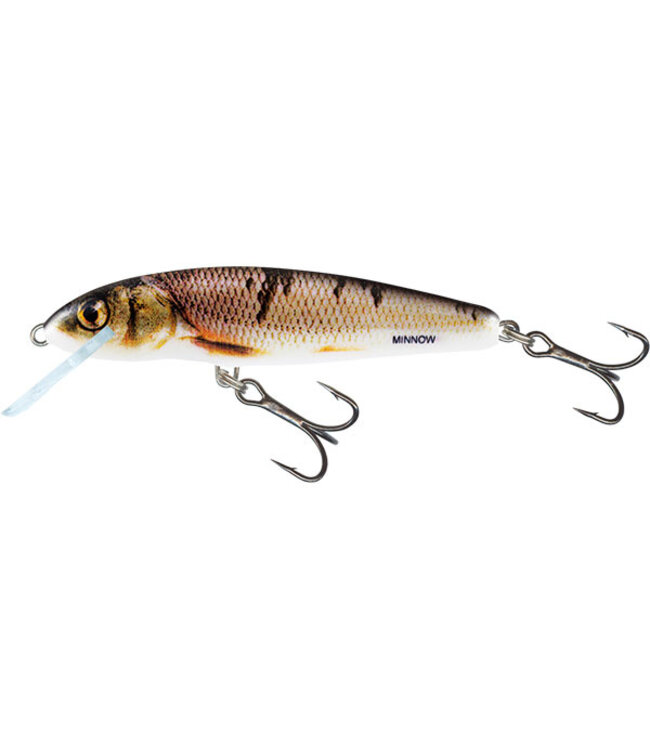 Salmo Sinking Minnow 7cm - 8gr (Tiefe 1.5-2m)
